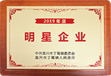 2019年度明星企業