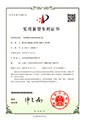 一種帶塑料長柄葉輪的離心泵（ZL201921089891.7）